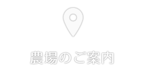 農場のご案内