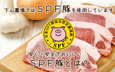 下山農場で使用しているＳＰＦ豚とは？